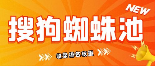 百度蜘蛛池收錄:黑龍江搜狗蜘蛛池出租，助力企業(yè)高效搜索引擎優(yōu)化