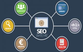 seo(zh)
