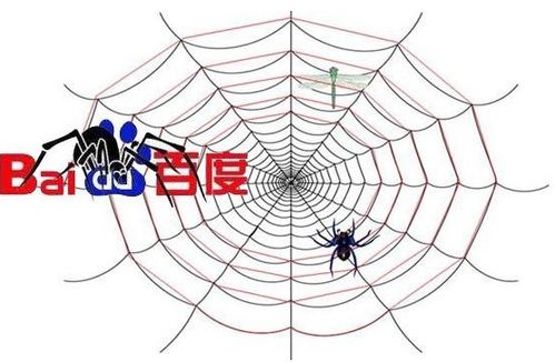 百度蜘蛛池優(yōu)化:揭秘蜘蛛池虱子，生存之謎與防治策略