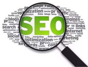 ٶ֩ԃ:SEO֩ƲԣW(wng)վ(yu)c