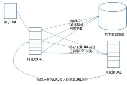 百度蜘蛛池出租:蜘蛛池設(shè)置攻略，構(gòu)建高效網(wǎng)絡(luò)爬蟲系統(tǒng)的關(guān)鍵步驟
