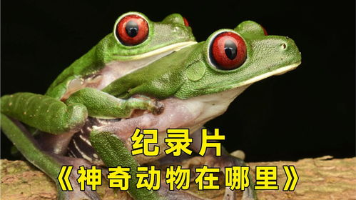 ٶ֩ԃ:̽֩ؽ