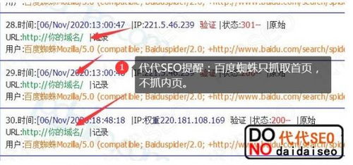 百度蜘蛛池租用:零距離蜘蛛池廣告，打造精準(zhǔn)營(yíng)銷新趨勢(shì)