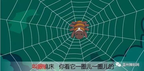 ٶ֩:C(j)֩W(wng)j(lu)[ؾ