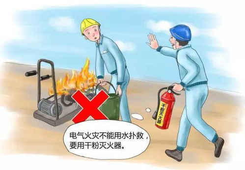 百度蜘蛛池引流:揭秘蜘蛛池程序下載，功能解析與安全使用指南