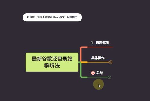 百度蜘蛛池收錄:揭秘站群蜘蛛池程序，助力網(wǎng)站優(yōu)化與推廣的秘密武器