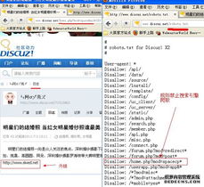 ٶ֩ԃ:֩Ƿńe˵朆᣿SEO(yu)еĳҊ`^(q)
