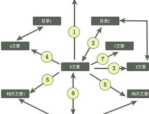 百度蜘蛛池效果:蜘蛛池建造成本解析，影響價格的關(guān)鍵因素