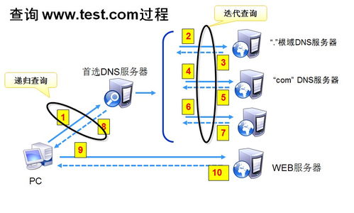 百度蜘蛛池收錄:揭秘蜘蛛池DNS解析，網(wǎng)絡(luò)攻擊背后的隱秘技術(shù)
