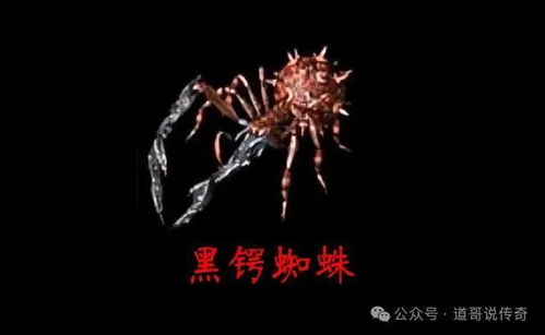 百度蜘蛛池價(jià)格:揭秘IP蜘蛛池，網(wǎng)絡(luò)爬蟲的隱秘力量