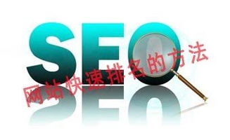 ٶ֩:SEO֩ظЧW(wng)j(lu)I(yng)N