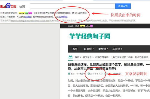 ٶ֩Ч:ѹ֩W(wng)վ䛣(sh)F(xin)惞(yu)ͻ