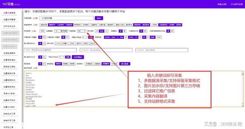 百度蜘蛛池租用:云蜘蛛池系統(tǒng)，新時代網(wǎng)絡數(shù)據(jù)采集與處理的利器