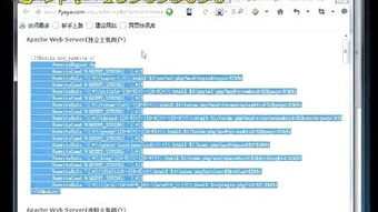 百度蜘蛛池引流:百度競價入門教程，全面解析蜘蛛池在SEO優(yōu)化中的應用與操作技巧