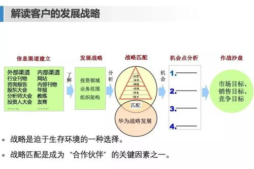 百度蜘蛛池引流:揭秘網(wǎng)絡(luò)營銷中的排名奧秘，蜘蛛池在現(xiàn)代SEO中的關(guān)鍵作用