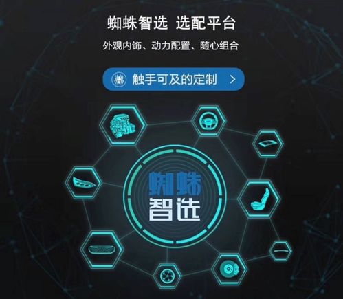 百度蜘蛛池引流:深度解析蜘蛛池工具全定zjkwlgs，功能強(qiáng)大，助力網(wǎng)絡(luò)爬蟲(chóng)高效運(yùn)行
