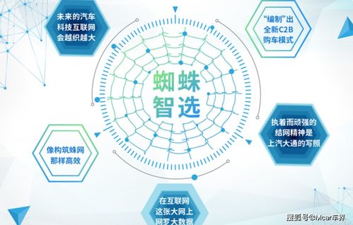 百度蜘蛛池引流:揭秘老鐵蜘蛛池，揭秘神秘的網(wǎng)絡(luò)營(yíng)銷利器