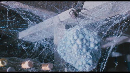 百度蜘蛛池出租:蜘蛛池人腦，揭秘電影中的科幻與現(xiàn)實(shí)碰撞之謎