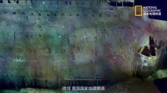 百度蜘蛛池價(jià)格:我用了蜘蛛池，網(wǎng)絡(luò)世界的新奇探險(xiǎn)之旅