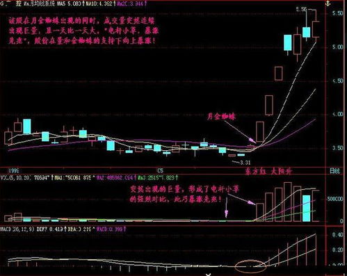 百度蜘蛛池收錄:揭秘金蜘蛛私募敢死隊(duì)股票池，如何捕捉市場(chǎng)熱點(diǎn)，實(shí)現(xiàn)財(cái)富增值