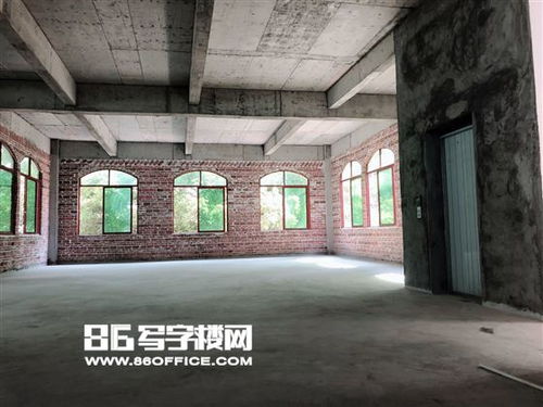 百度蜘蛛池出租:揭秘蜘蛛池，網(wǎng)絡(luò)世界的隱秘網(wǎng)絡(luò)營銷工具