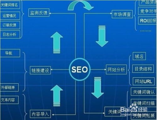 百度蜘蛛池出租:揭秘蜘蛛池原理，RR氵云速捷助力網(wǎng)絡(luò)營銷新篇章