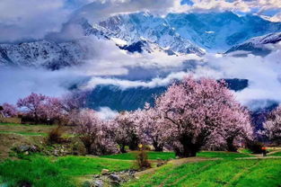 ٶ֩؃(yu):֩س(w)ģԭB(ti)εc(din)
