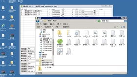 百度蜘蛛池租用:揭秘黑帽SEO教學(xué)，蜘蛛池的運用與風(fēng)險