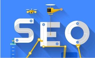 ٶ֩Ч:SEO(yu)ƏV֮֩ؾW(wng)j(lu)IN