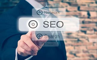 ٶ֩ԃ:SEO(yu)֩ظЧ惞(yu)