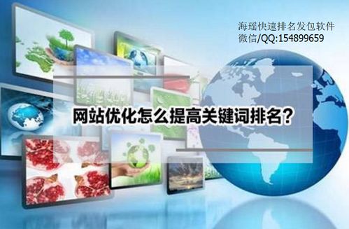 百度蜘蛛池咨詢:蜘蛛池搭建攻略，盅釉冫云速捷，輕松掌握SEO優(yōu)化