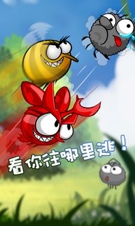 ٶ֩ԃ:ͨе֩O(chung)cͯȤY(ji)