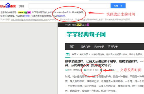 百度蜘蛛池出租:揭秘蜘蛛池站群版，高效SEO優(yōu)化利器