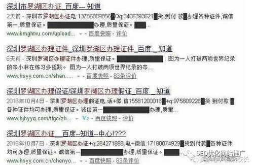 百度蜘蛛池咨詢:揭秘百度蜘蛛池排名榜，揭秘你的網(wǎng)站在搜索引擎中的地位！