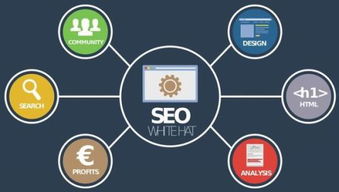 seo(yu)Ҫ΄