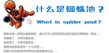 ٶ֩س:ھ֩(lin)W(wng)r(sh)ش