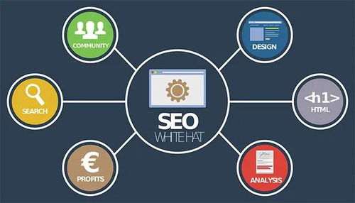 seo mЩИI(y)