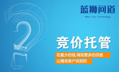 網(wǎng)站競價推廣托管公司