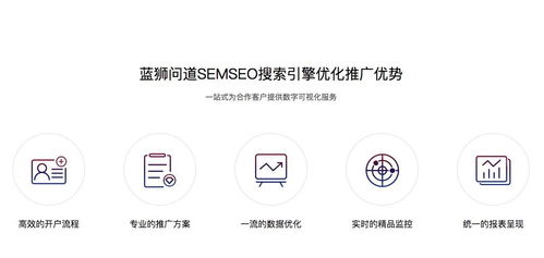 搜索優(yōu)化推廣公司