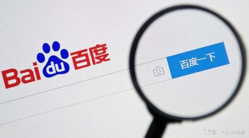 百度蜘蛛池引流:北京蜘蛛池出租服務公司，為您打造高效便捷的網絡解決方案