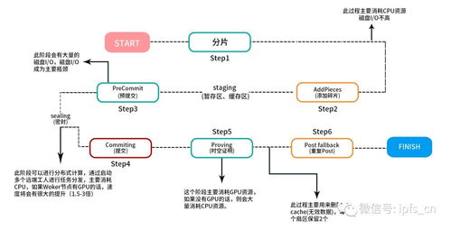 百度蜘蛛池出租:蜘蛛礦池支付記錄揭秘，礦工收益透明化之路