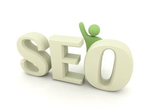 seoٍX