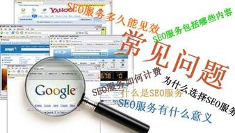 福州seo服務(wù)