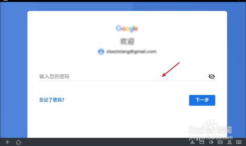 google playo(w)