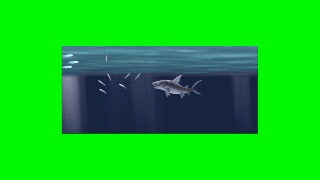 Ñ˼S5000ָ؛+գ