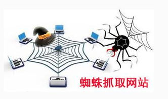 ٶ֩:֩_W(wng)j(lu)ڮa(chn)ꎰ