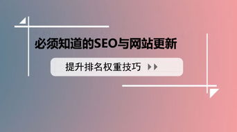 seo顧問(wèn)服務(wù)公司站長(zhǎng)