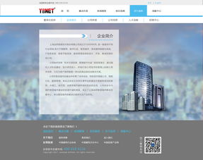 科技公司網(wǎng)站制作公司