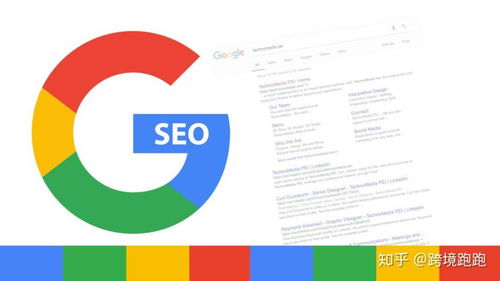 網(wǎng)站搭建谷歌seo