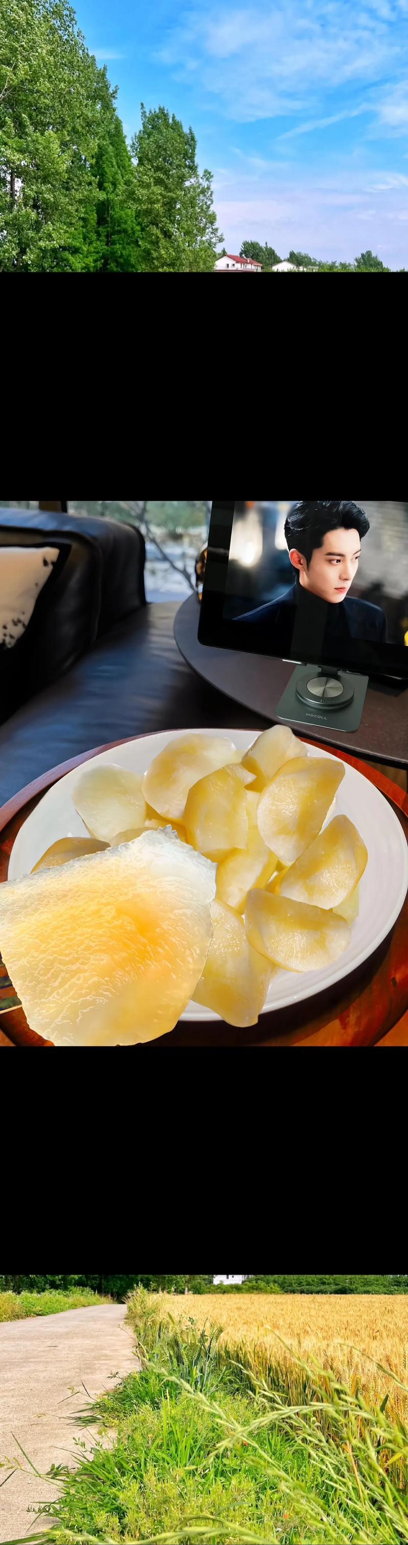 雪蓮寶多少錢